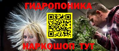 прущие крисы Пушкино