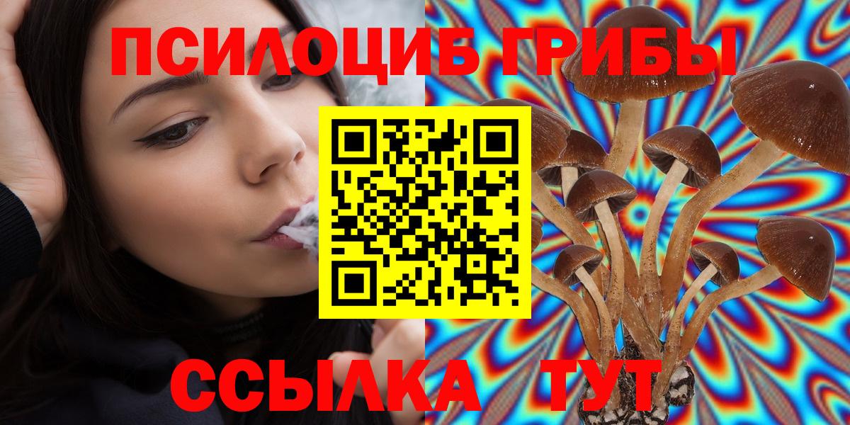 Псилоцибиновые грибы мицелий Советск