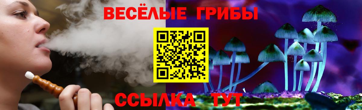 Псилоцибиновые грибы Psilocybine cubensis  Галлюциногенные грибы мицелий  Советск  Вход с VPN 